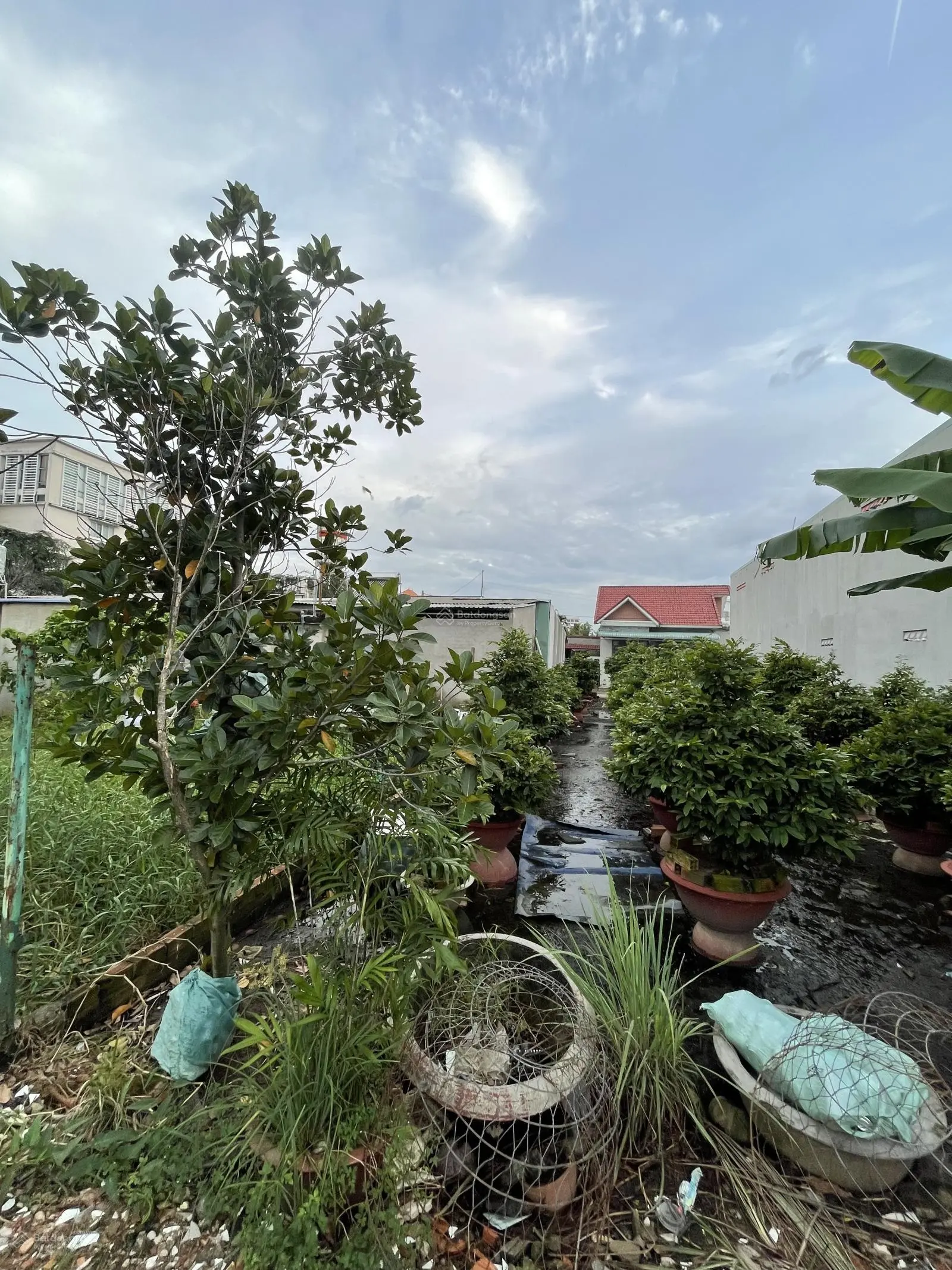 Bán miếng đất thổ cư An Phú Đông Quận 12 ngang 8 mét
