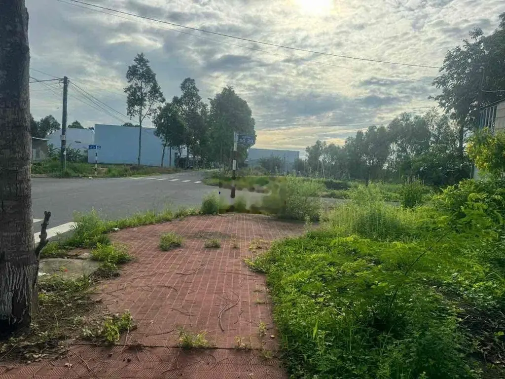CẦN BÁN GẤP LÔ ĐẤT