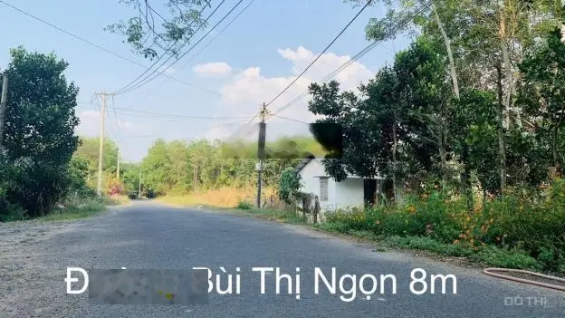 Quá rẻ và ngộp! Bán lô đất Mặt tiền đường Bùi Thị Ngọn, dt 4.984m, xã An Nhơn Tây, Củ Chi.