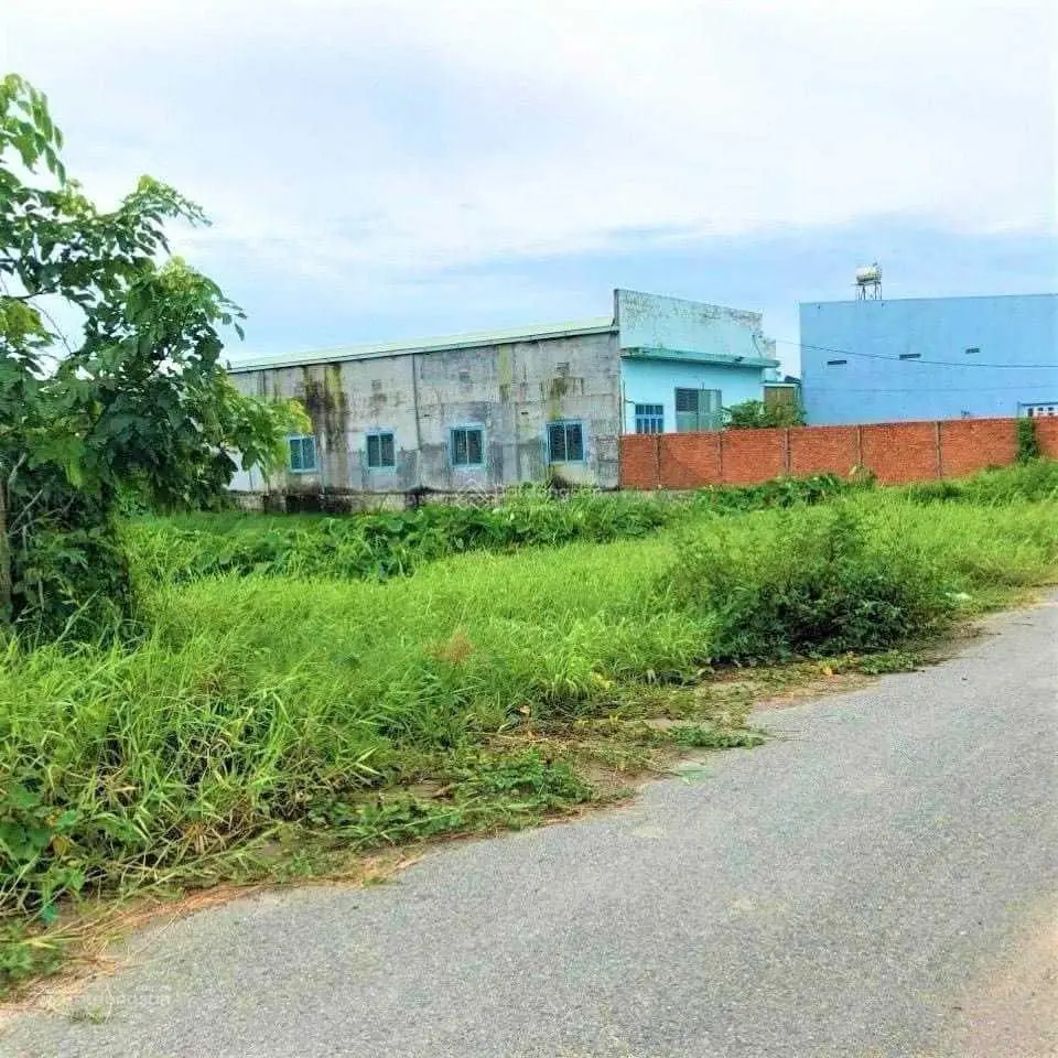 Mua 2020 giờ có việc nên cần bán lỗ