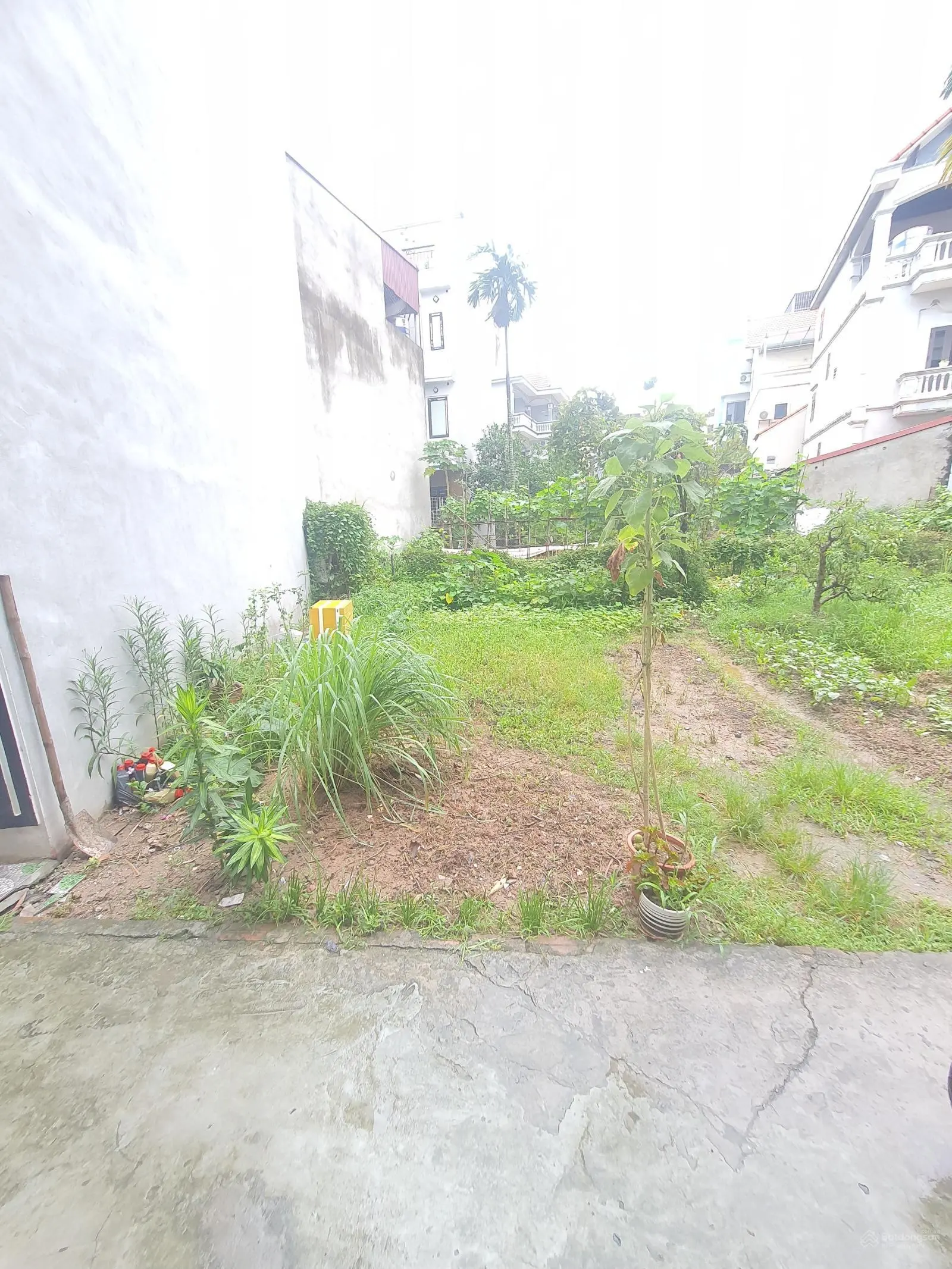 Bán đất Vân Canh, Kim Hoàng 35m2, MT 3,63m nở hậu chỉ 2 tỷ xx có TL