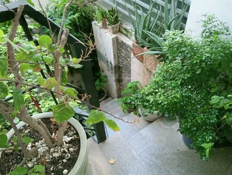 Bán nhà HXH Dương Bá Trạc, Quận 8. Nguyễn Văn Cừ. 4m x 19m. 3 tầng. Giá 8.8 tỷ. MTKD , hiếm