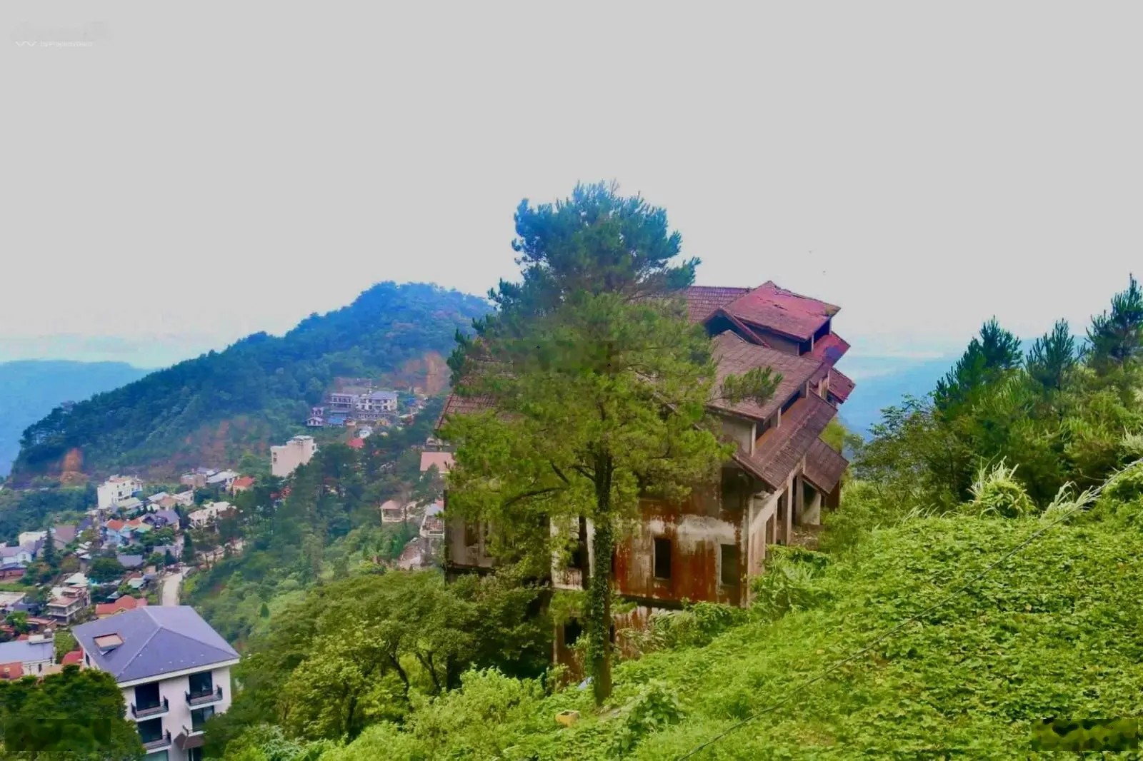 Gia đình tôi bán 7200m2 đất có suối trung tâm thị trấn Tam Đảo mặt đường 2B tặng 2 biệt thự 5 tầng