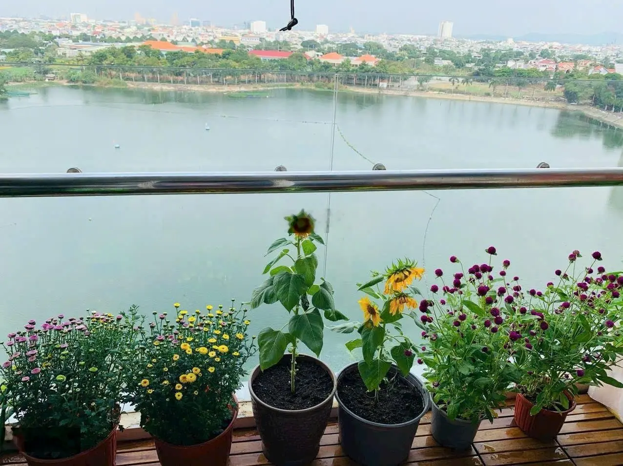 Bán căn hộ chung cư phoenix vũng tàu 2pn 1wc 76.2m2 full nội thất giá 2.5tỷ. alo 0902 674 *** ms.thảo