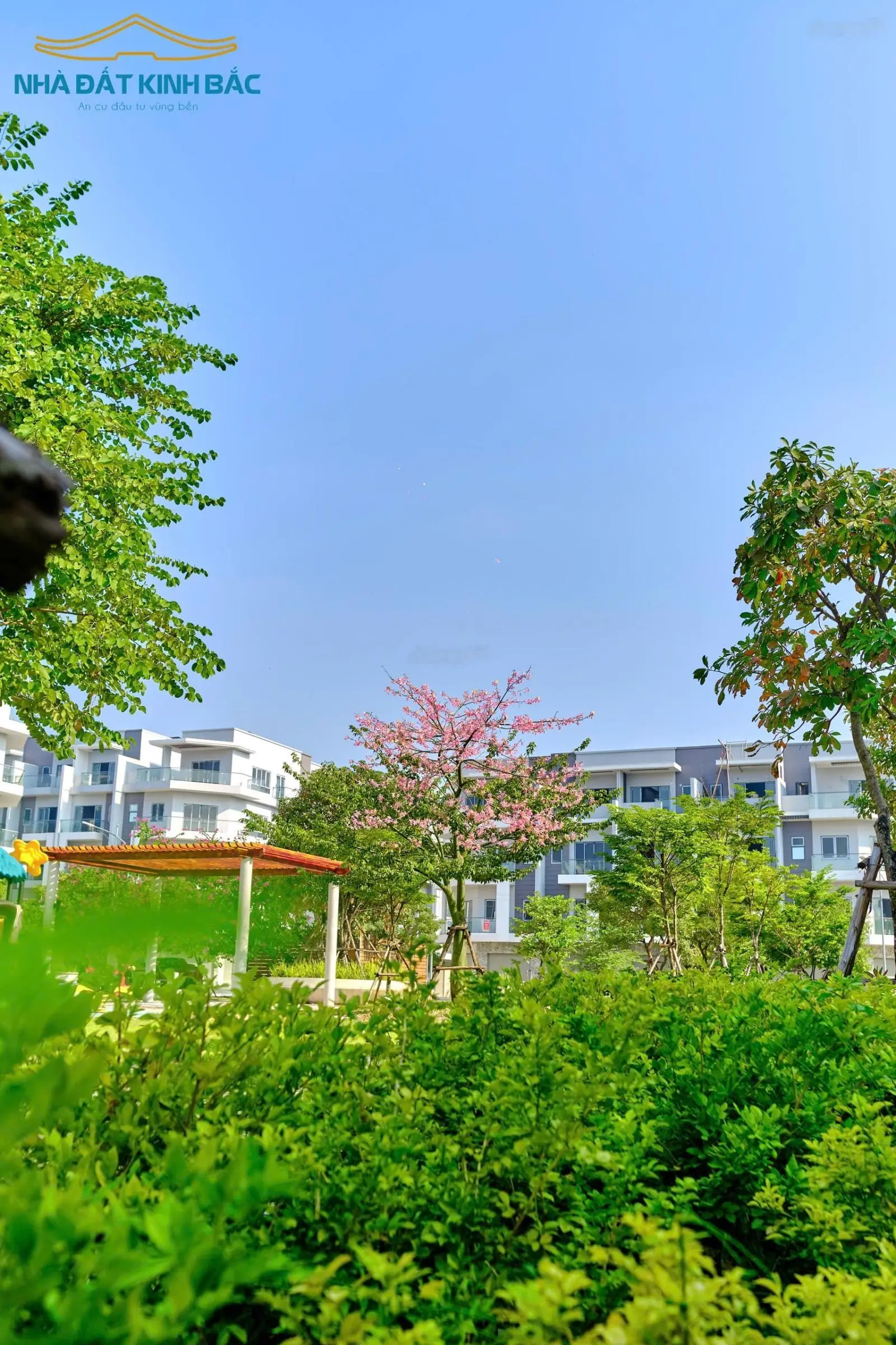 Chuyên nhà phố LK, BT Him Lam Đại Phúc Bắc Ninh - cập nhật giỏ hàng mới nhất tháng 11 - 2024