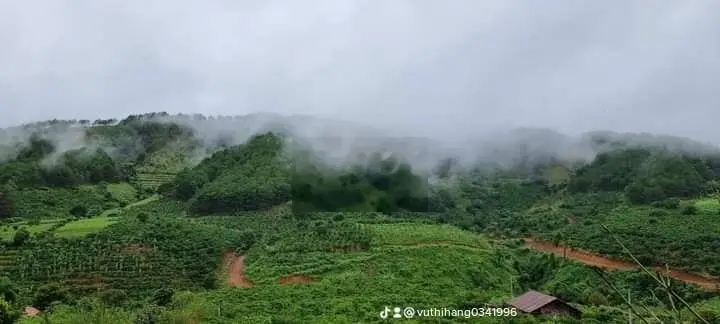 Nghỉ dưỡng ngoại ô Đà Lạt 1011m2 100m thổ cư sổ riêng view săn mây
