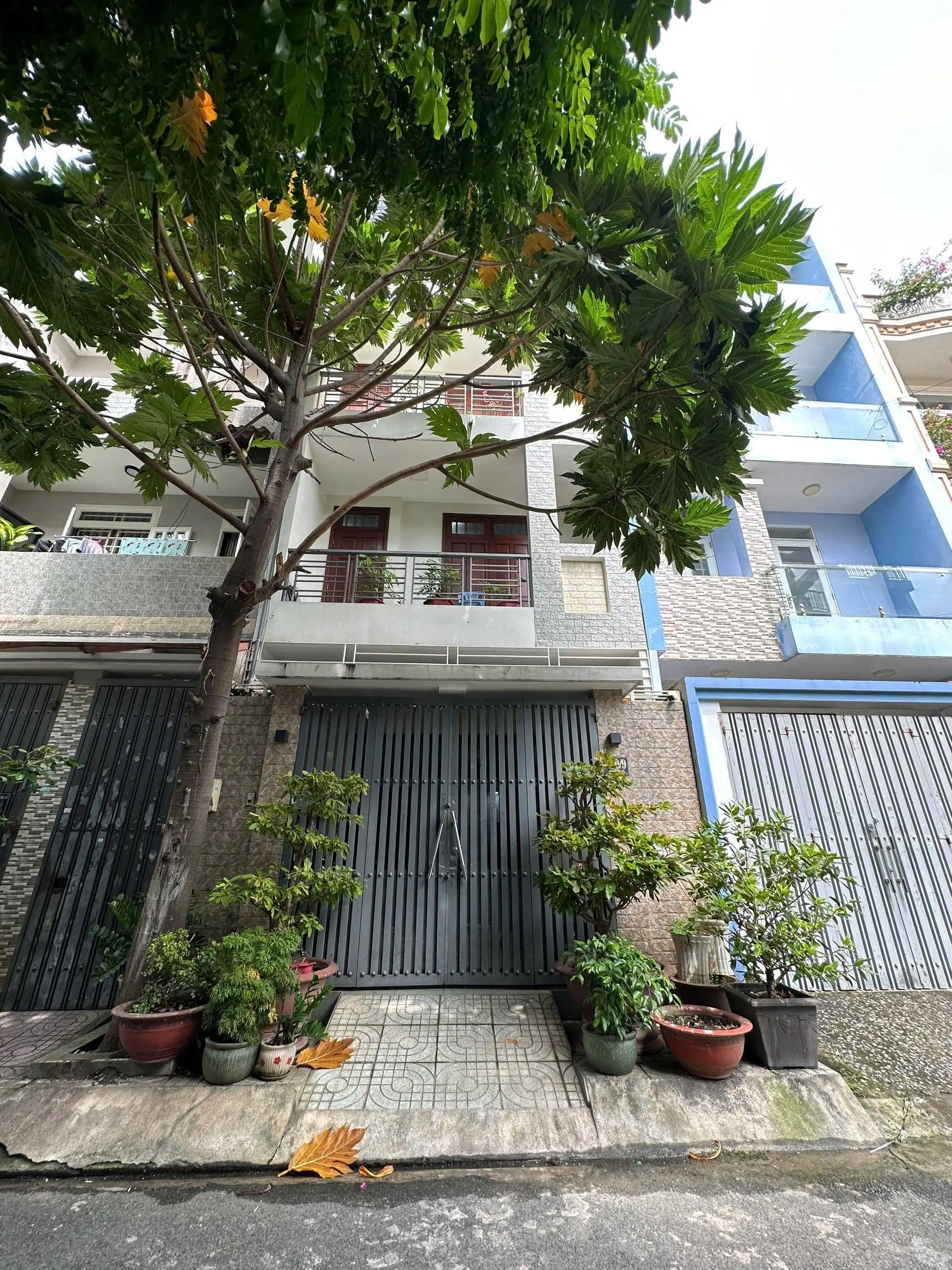 Ban nhà 160/9 Nguyễn Hữu Dật - Tây Thạnh - Tân Phú