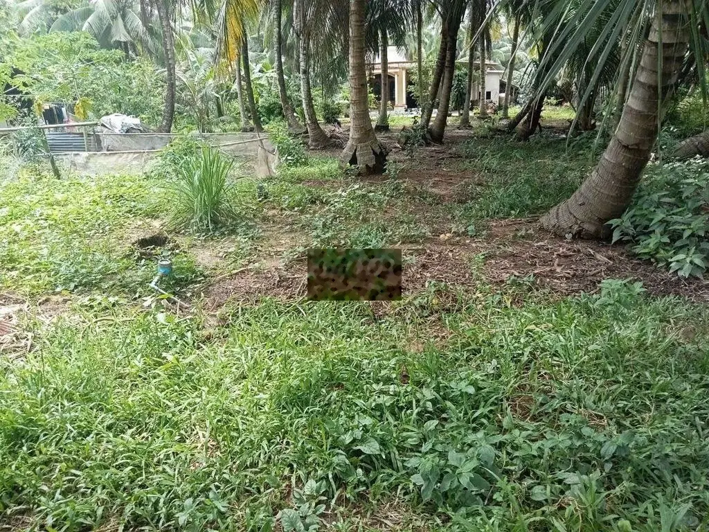 Bán nền thổ cư lộ ôtô giá rẻ