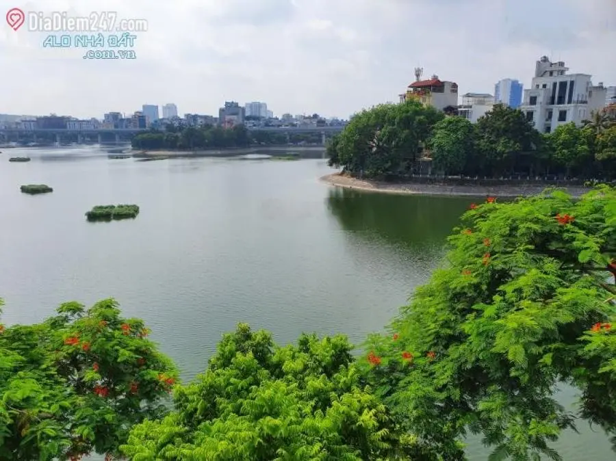 Bán nhà phố Mai Anh Tuấn-View Hồ-Lôgóc-Ôtô tránh- 50M2- 8 Tầng thangmáy-Mặt tiền 8M-26Tỷ0394 743 ***