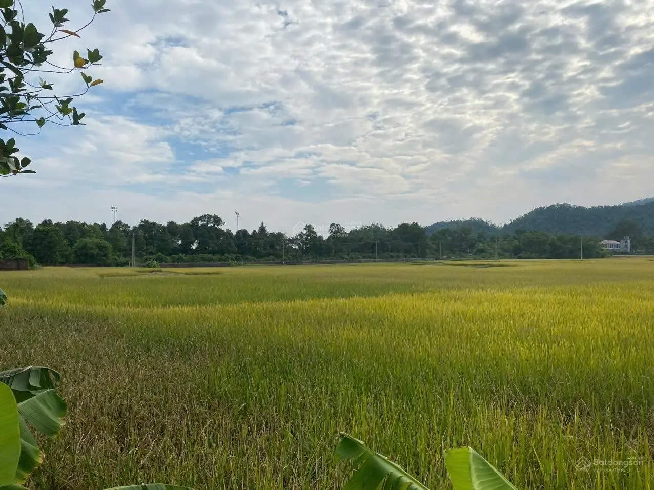 Bán đất tân yên, hồng kỳ, sóc sơn. view đẹp, gần sân golf. gần nhiều khu nghỉ dưỡng.