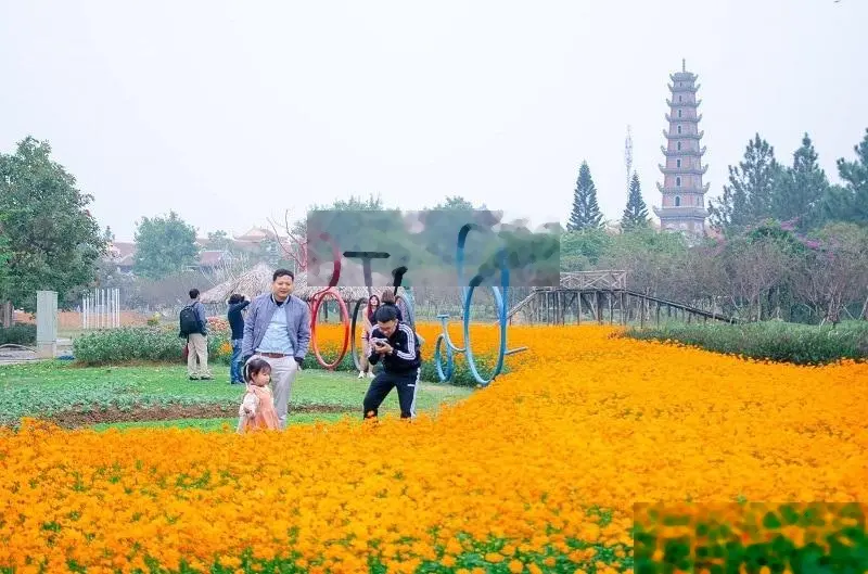 Chính chủ tôi cần bán căn biệt thự song lập tại dự án Phoenix Đan Phượng dt 200m2 mt 8m giá 70tr/m2