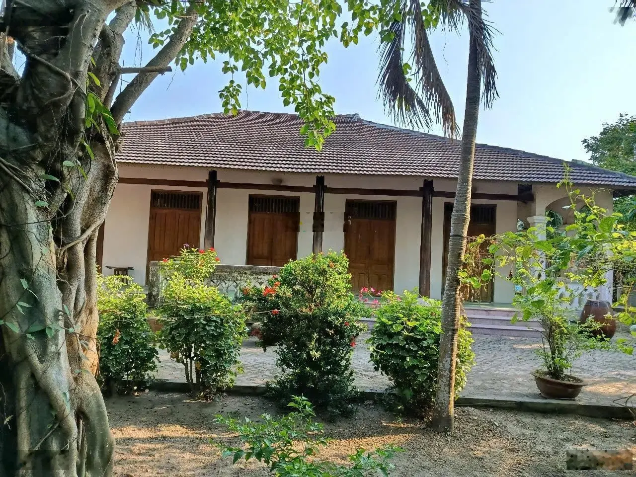 Căn nhà vườn 1336m2 ngang 38m nở hậu gần bờ kè Trần Phú, thị trấn Diên Khánh giá chỉ 9,5 triệu/m2