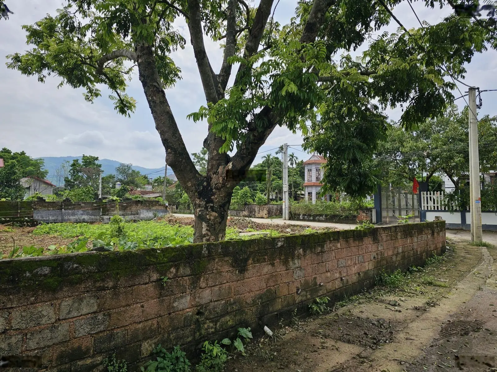 Chu cần bán 517m2 thổ cư 200m2 tại thôn Đông Nam xã Nam Phương Tiến Chương Mỹ. Giá cực sốc