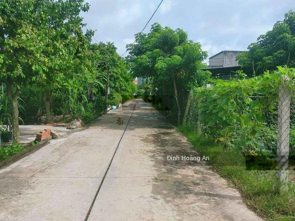 Tôi Muốn Bán Gấp Đất Ngay Trường Chính Trị, Đ. Trần Văn Bảy, P3, Sóc Trăng, 120m2/600tr, Sổ Riêng