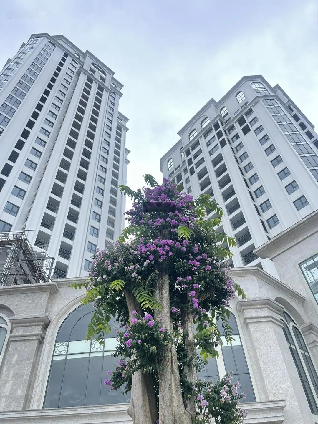 Thanh khoản căn hộ 2 phòng ngủ tháp đôi Prime trung tâm thành phố Thái Nguyên