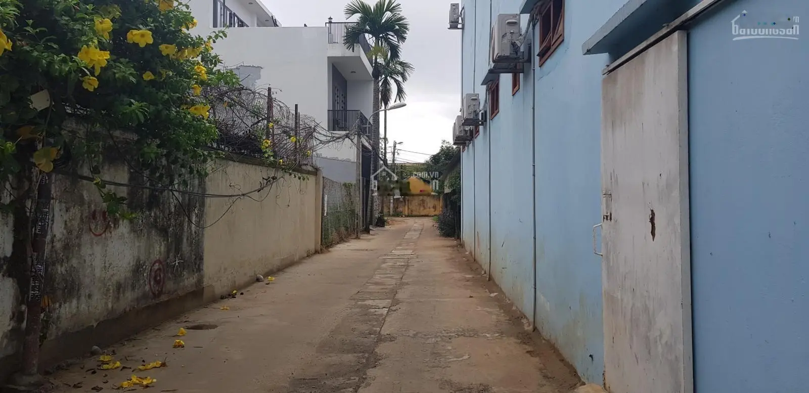 Bán đất Chế Lan Viên nối dài - Mỹ An, Ngũ Hành Sơn, Đà Nẵng