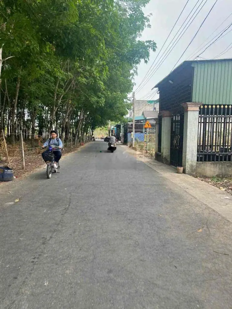 bán nhanh miếng dất ngay chợ hoàng gia đường nhựa thông