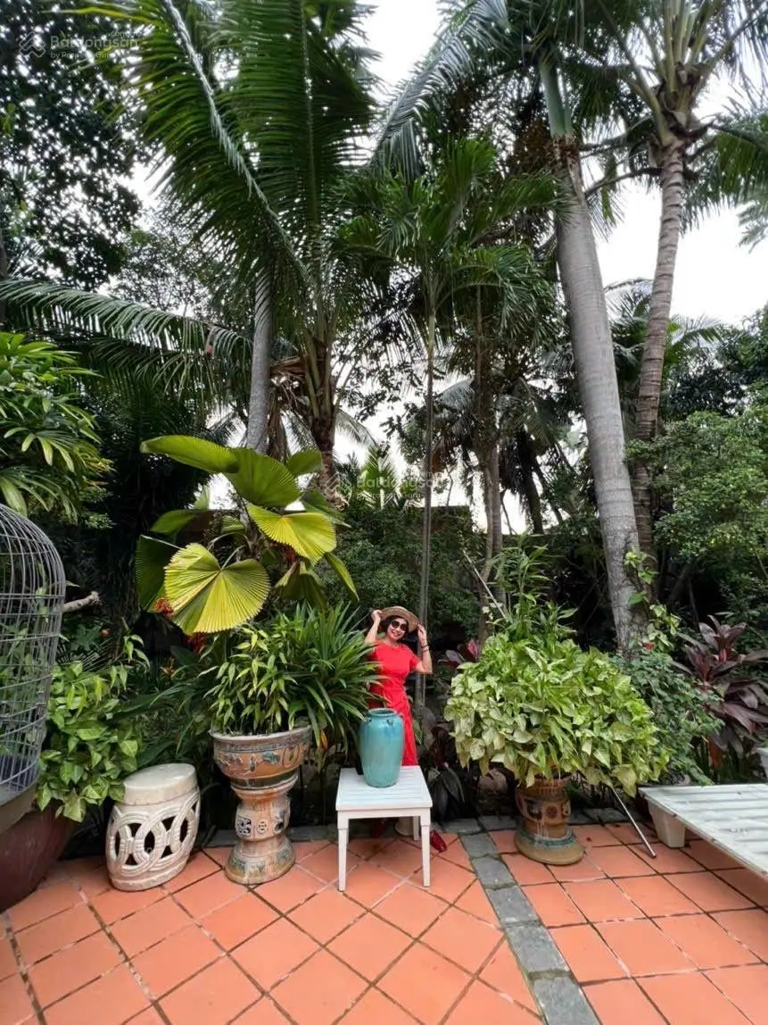 Bán khu sinh thái độc nhất dĩ an hơn 4.130m2 thổ cư 3 biệt thự pháp bộ sưu tập đồ cổ ngàn năm