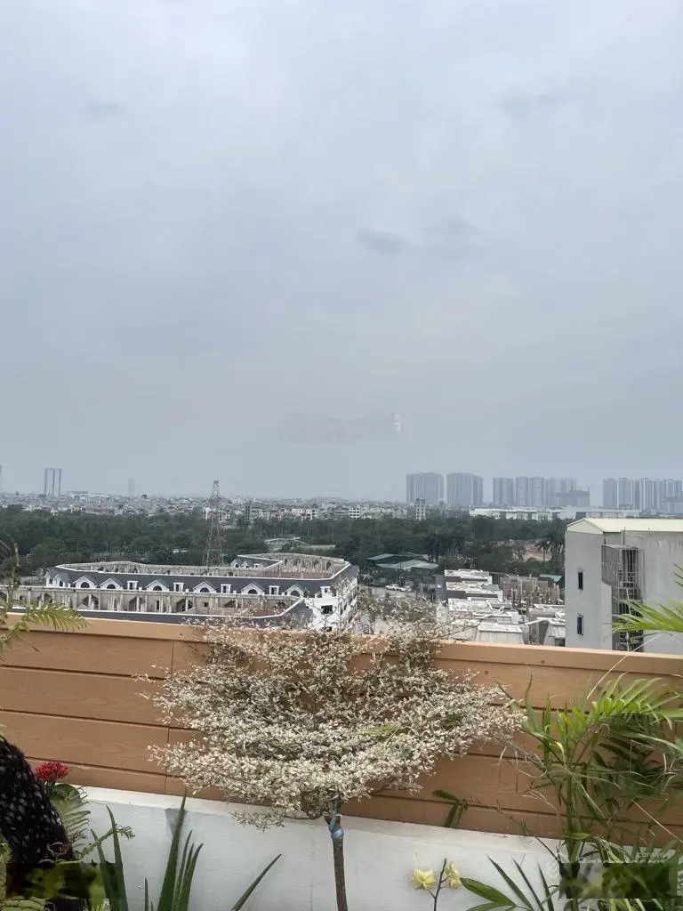 Bán căn hộ dịch vụ vừa ở vừa cho thuê siêu đẹp và siêu hiếm