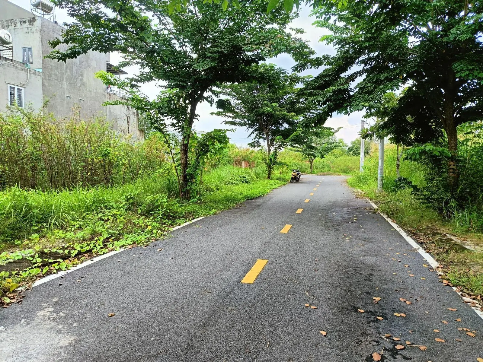 Lô đất 64m2(4x16) thổ cư, da Đảo Kim Cương Q9 có 3 mặt giáp sông lớn, P Trường Thạnh, Tp Thủ Đức.
