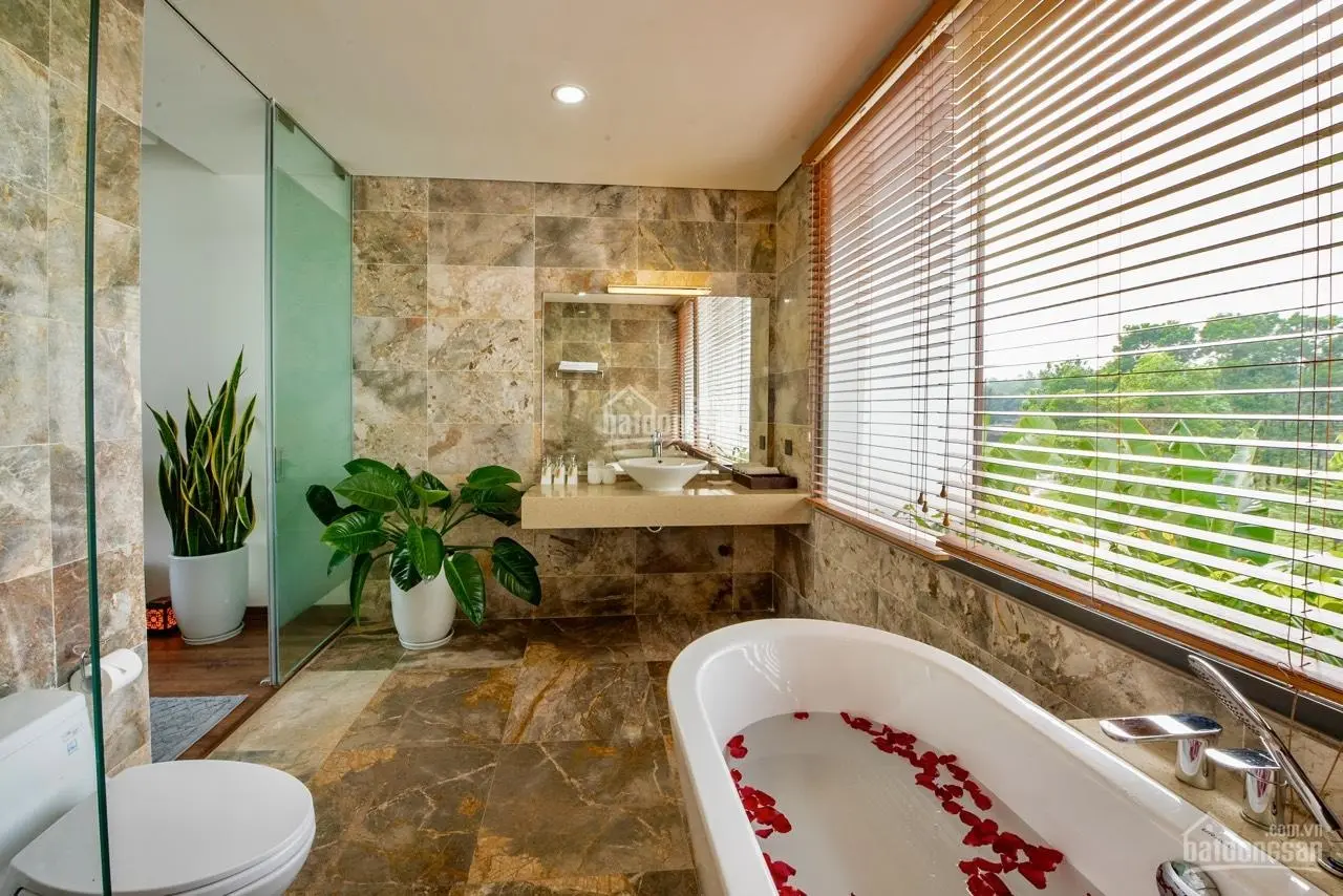 Bán gấp biệt thự Hoàng Oanh, 450m2, lô góc 2 mặt tiền, view hồ tại Flamingo Đại Lải, LH: 0931 793 ***