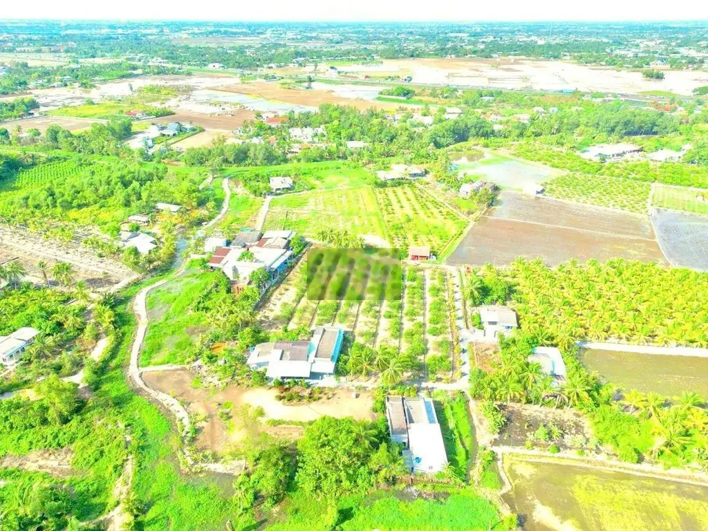 Hàng thơm, 185m2 đất thổ 5x 37m đường ô tô KDC Tân Hòa, 495tr