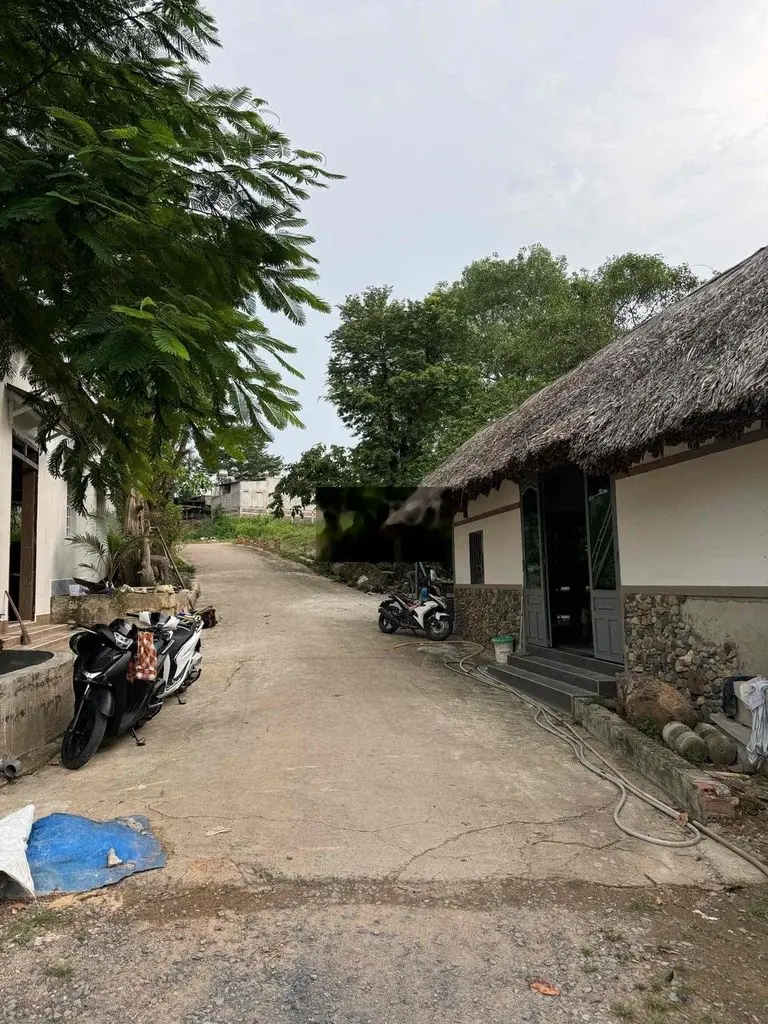 Bán Đất Thị Trấn Tặng Nhà Khu Phố 3