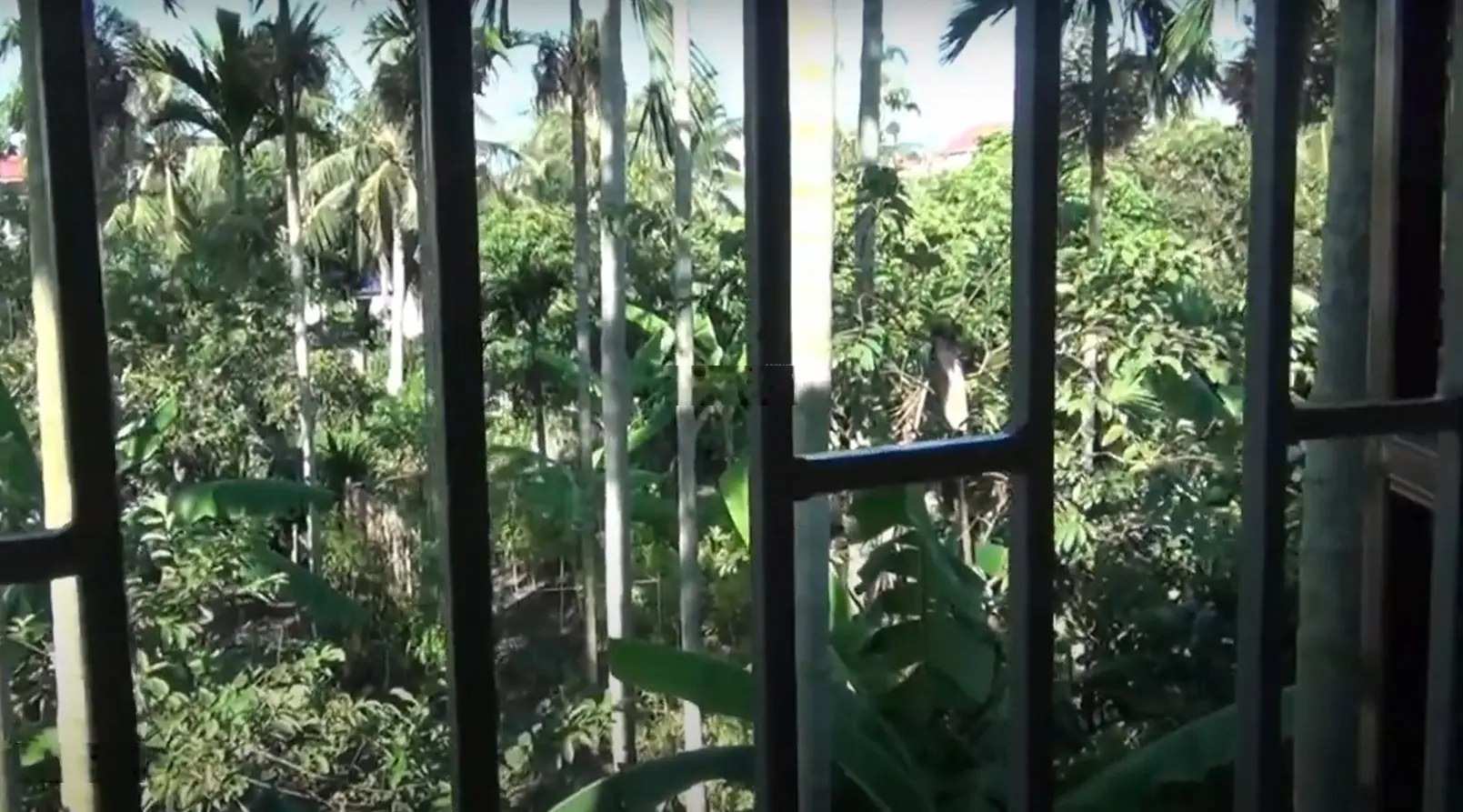 Bán nhà mặt đường số 71 khu phố Đông Thái thị trấn Vĩnh Bảo. 105m2, rộng 4.75m. Liên hệ chính chủ