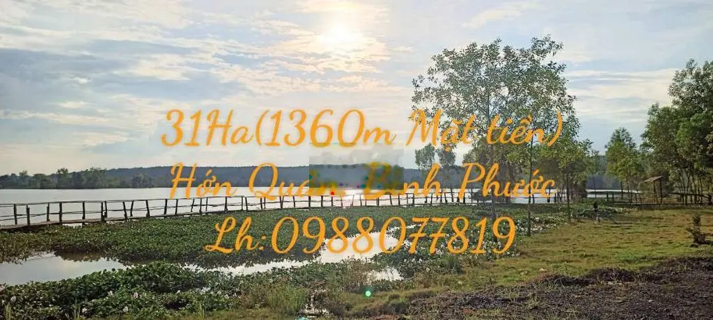 Bán 31Ha đất (View hồ) Hớn Quản, Bình Phước