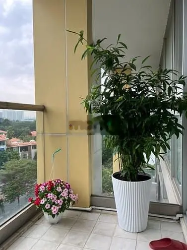 Bán căn hộ 3PN chung cư GRAND VIEW, PHÚ MỸ HƯNG, QUẬN 7
