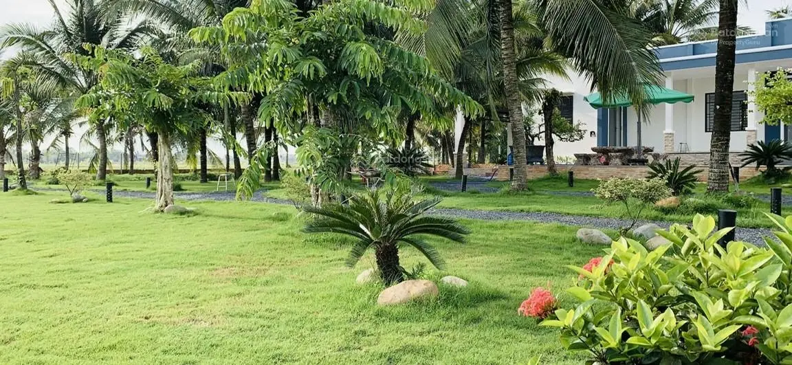Nhà Vườn Nghỉ Dưỡng 6.000m2 gần UBND Trung Lập Hạ chỉ 1,85tr/m2