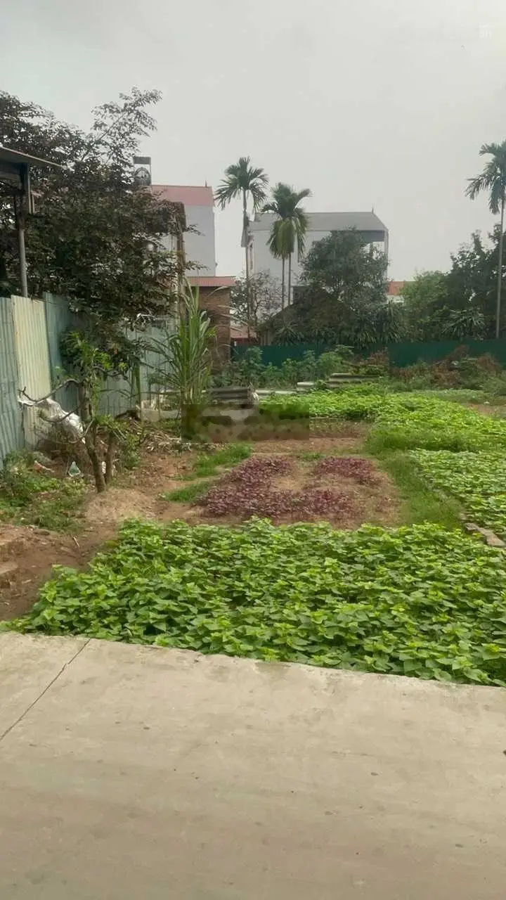 Bán 45m2 đất thị Trấn Phúc Thọ, Phúc Thọ, Hà Nội