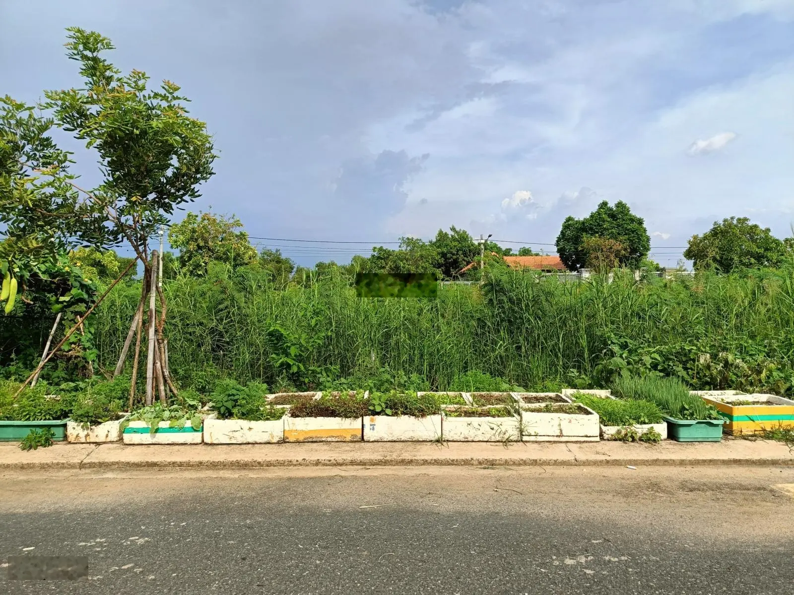 56m2(4x14), DA Đảo Kim Cương, sạch đẹp, hướng T, B, đường nhựa 9m. P Trường Thạnh, TP Thủ Đức, HCM