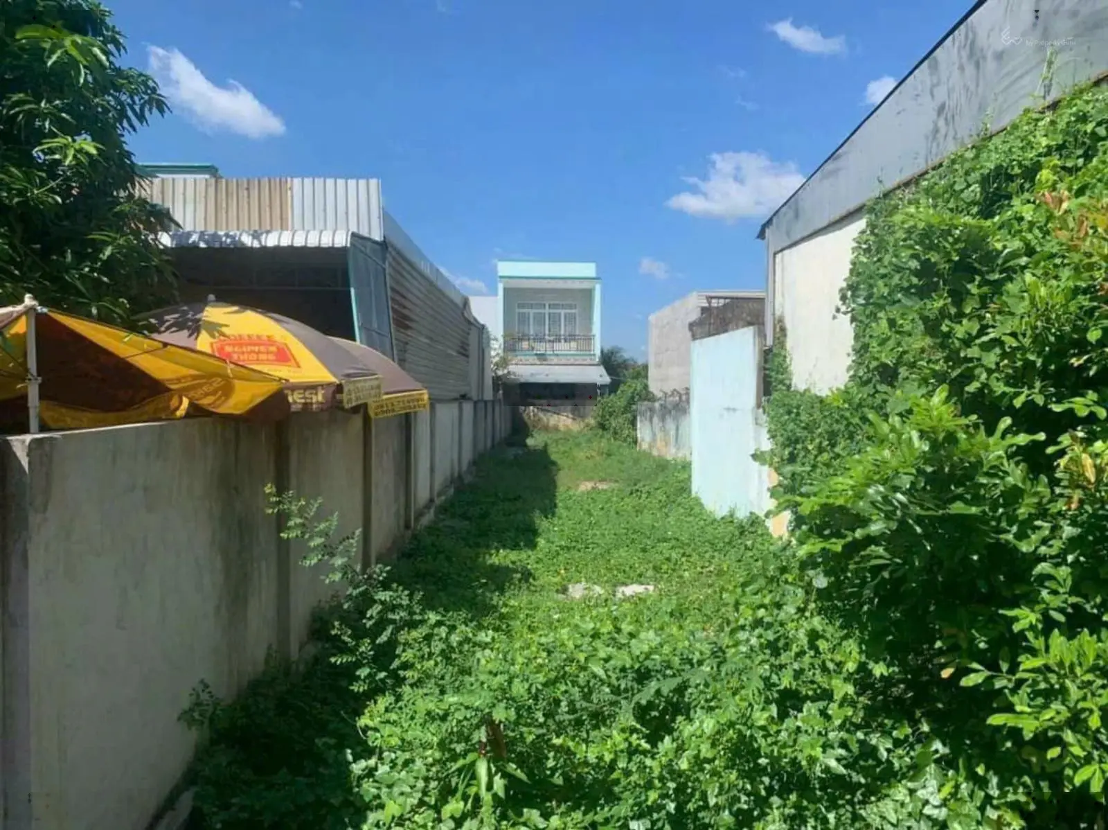 Sở hữu đất thổ cư 191m2, vị trí đẹp nhất trung tâm Cần Giuộc