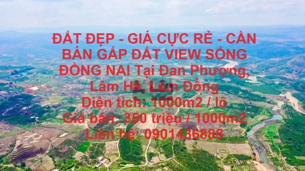 CẦN BÁN GẤP ĐẤT VIEW SỐNG ĐỒNG NAI Tại Đan Phượng, Lâm Hà, Lâm Đồng