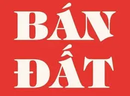 Trục chính đường Vua Bà, thuộc phường Hòa Long - tp BN .