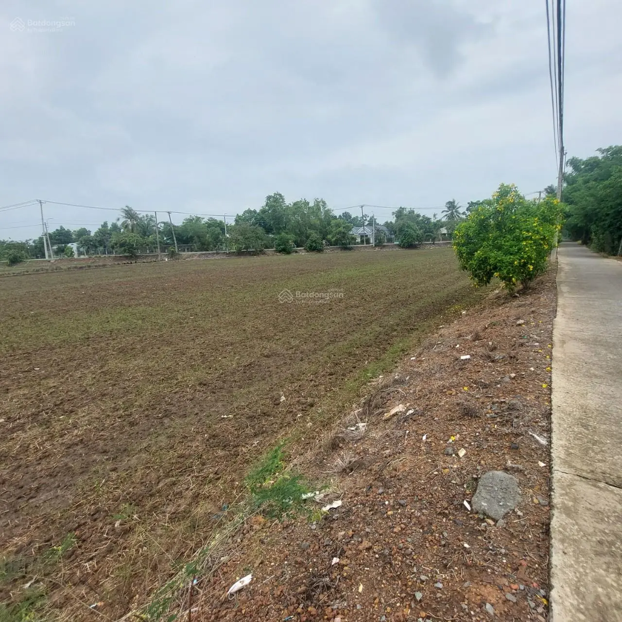 Bán 5000m2 đất vườn dân cư xây mới MT Phạm Tấn Mười Qui Đức, Bình Chánh giá 6,4tr/m2 thương lượng