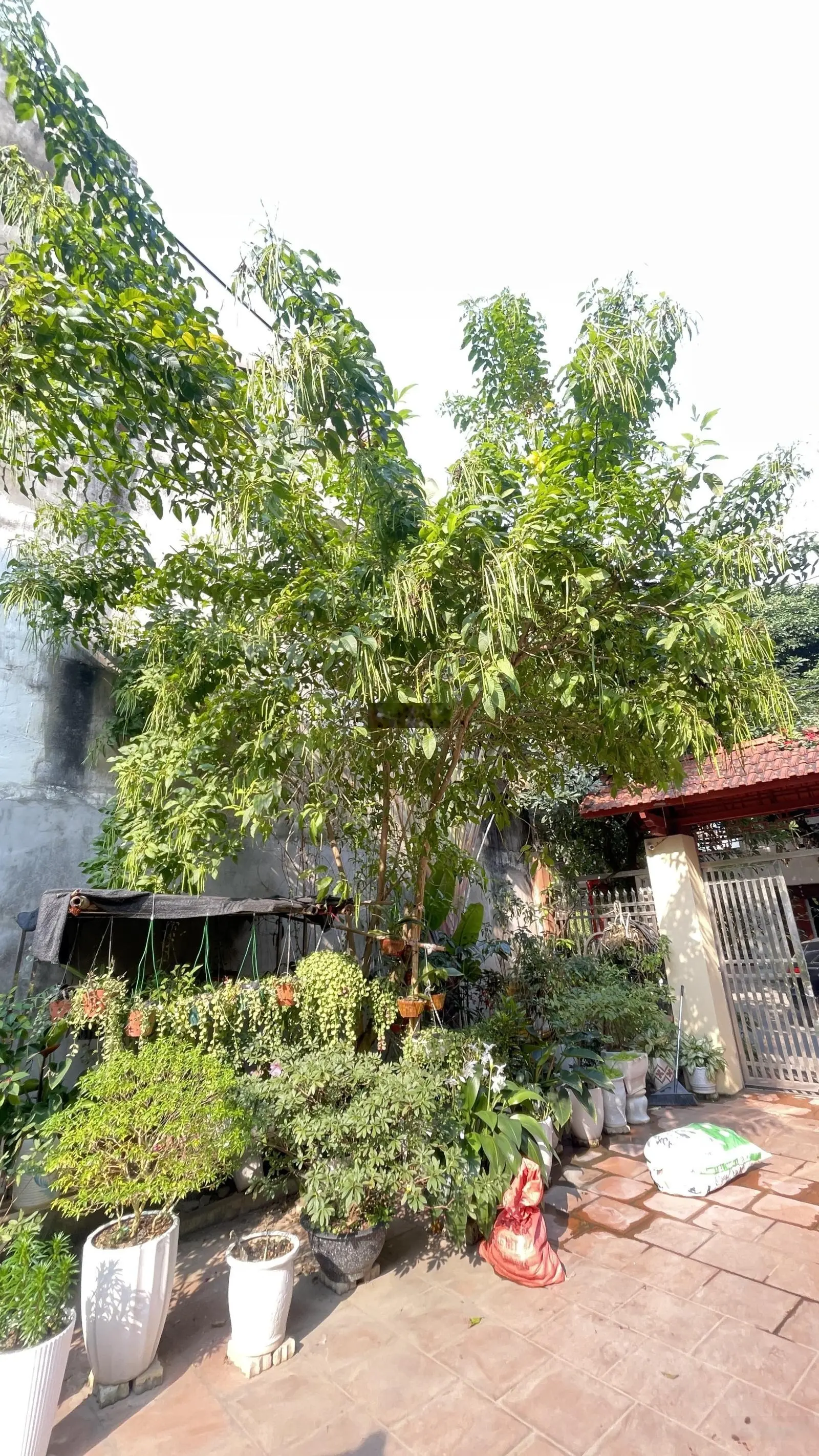 Bán nhà riêng 287m2 tại phường Hợp Giang thành phố Cao Bằng