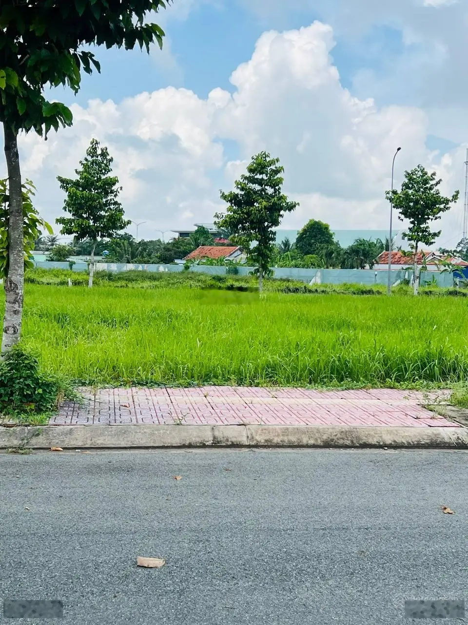 2 lô đất ngay chợ Thủ Thừa cần ra nhanh chỉ 1,314 tỷ