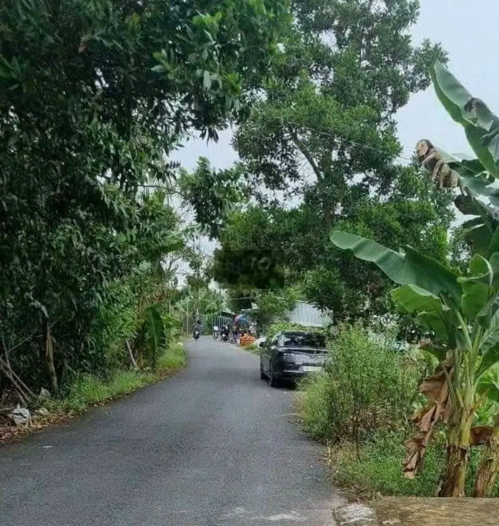 Bán đất mặt tiền nguyễn viết xuân