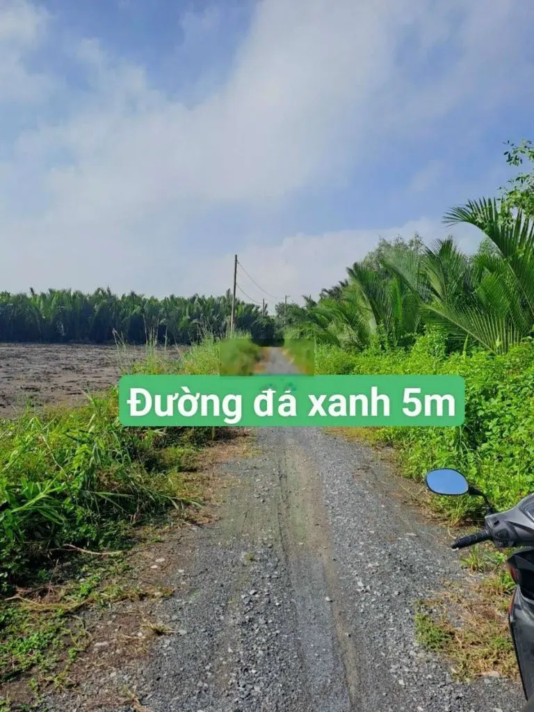 Bán đất 250 triệu, diện tích 138m2 tại Đường Tam Thôn Hiệp, Xã Tam Thôn Hiệp, Huyện Cần Giờ, Hồ Chí Minh