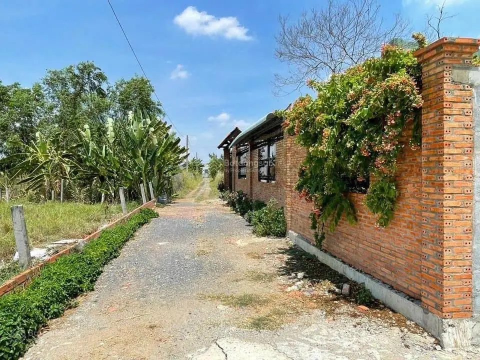 Chủ ngộp gửi bán 127m2 đất làm nhà vườn ngay thị trấn, giá rẻ nhất khu vực