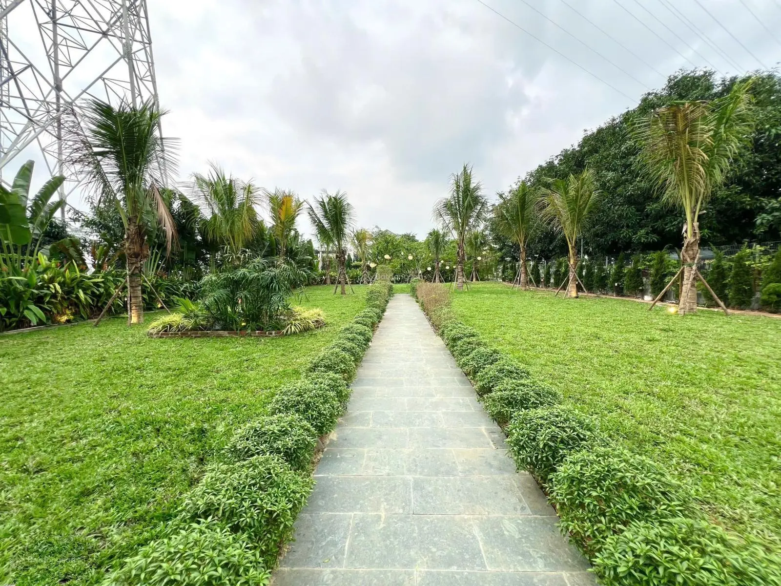 Villa xịn xò 1300m2, ngay sát sông Hàn giá rẻ, không ở có thể cho thuê 70 tr/1 th