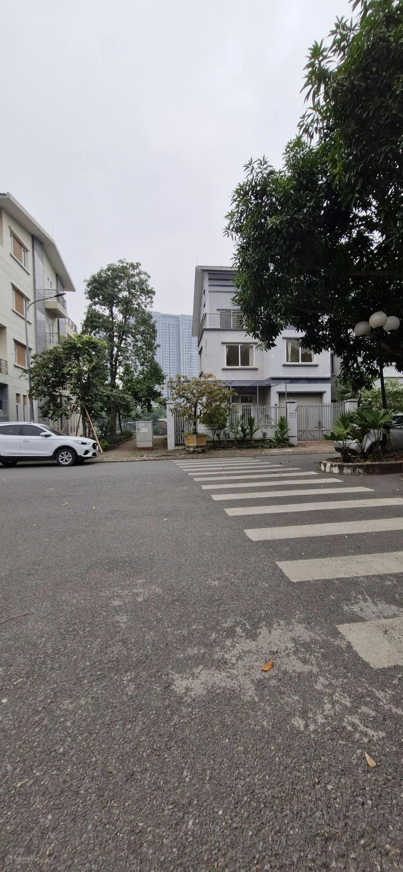 Bán Nhà Vườn KĐT Tây Mỗ Lô góc Vị trí Đắc địa giá đầu tư.