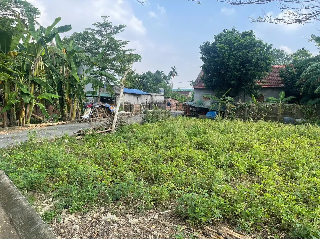 Cần bán đất thôn Miễu chỉ hơn 2 tỷ ngay sát Đại Học Quốc Gia, xung quanh nhiều nhà trọ. Giá đầu tư