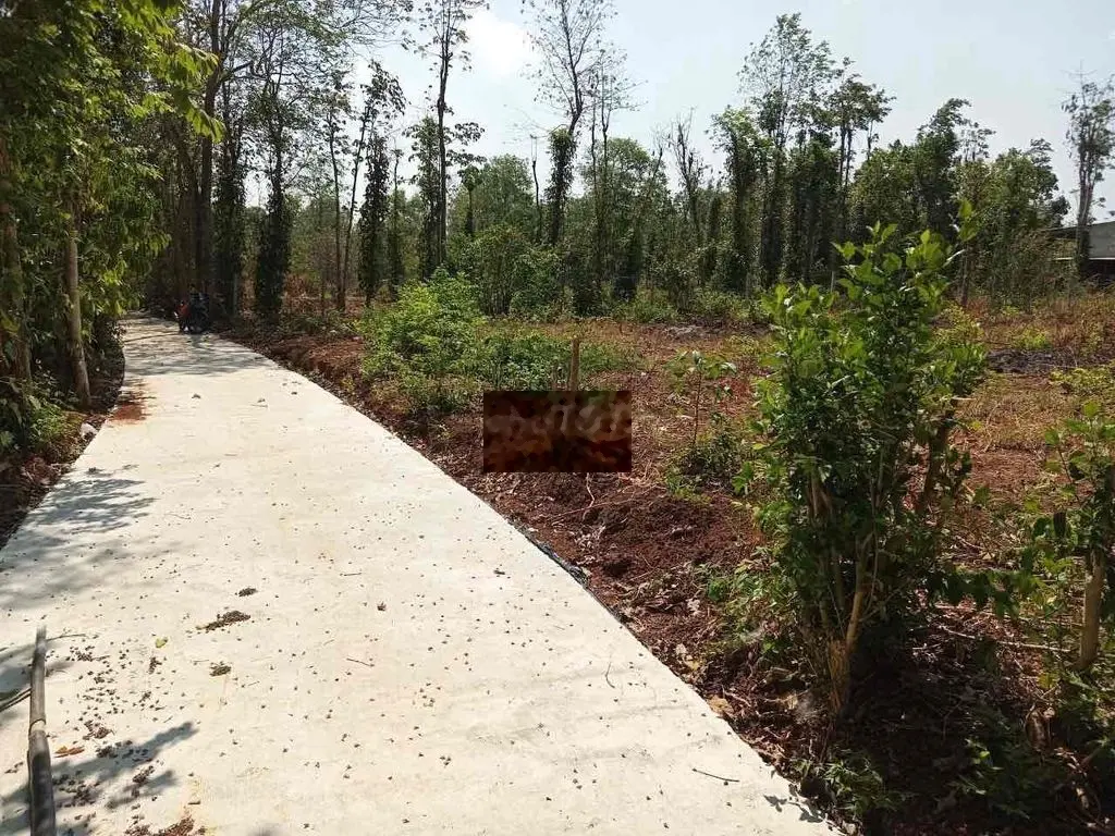 Ra gấp 2015m2 ngay thị trấn Ngãi Giao sát uỷ ban