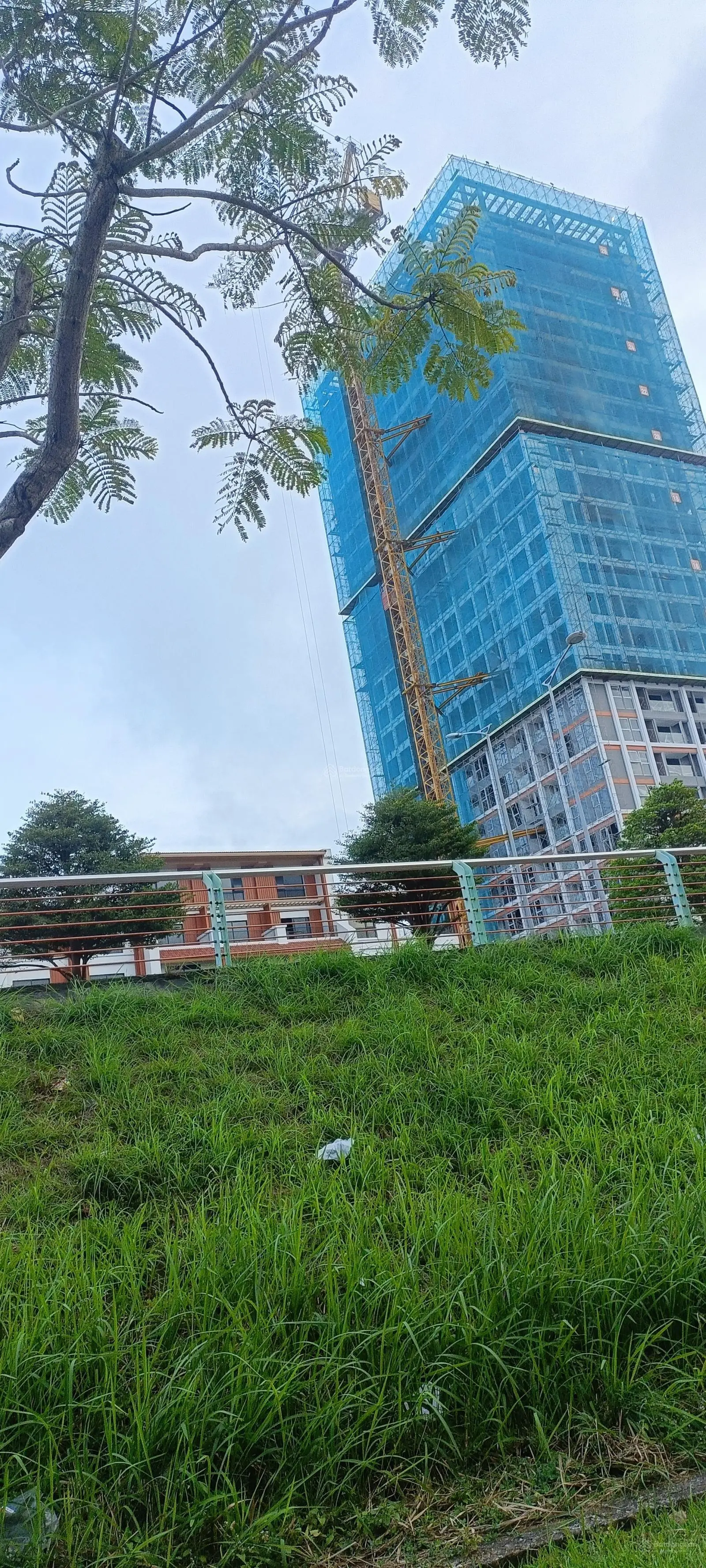 Nhà đẹp nội thất gỗ phố sông hàn nhìn sang công viênchaau á