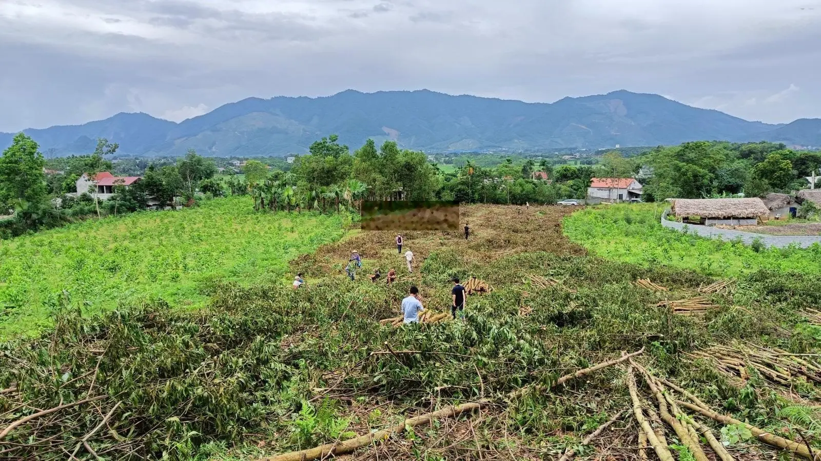 Bán 6000m2 có thổ cư, bám đường lớn, đất phẳng tại Hưng Long, Yên Lập, Phú Thọ