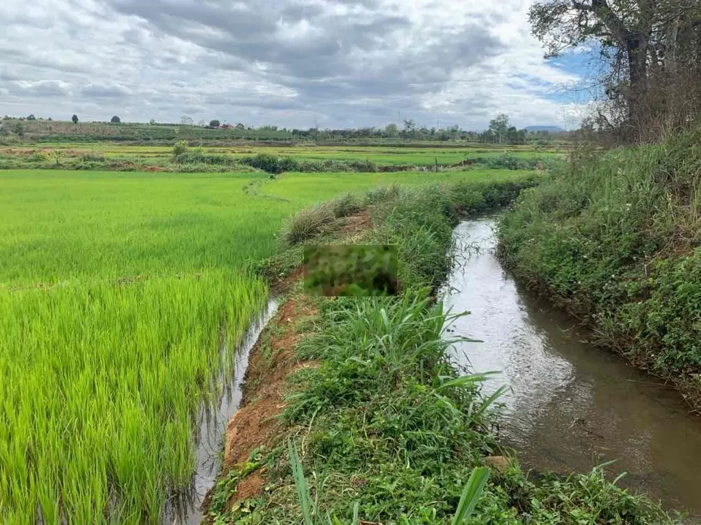 Đất vieu suối vieu ruộng phường Thắng Lợi cách trung tâm phố 6,5km