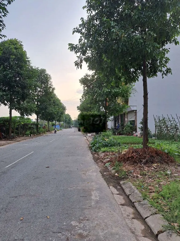 Bán đất tại Phương Vỹ, Vũ Ninh, Bắc Ninh. Diện tích 77,4m2, giá 5,2 tỷ